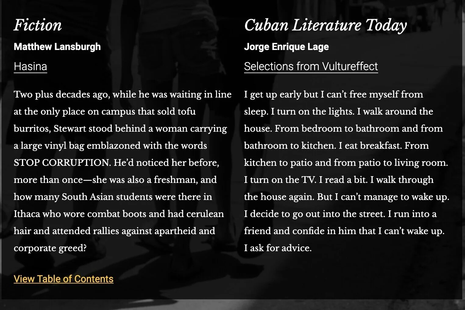 Selections from VULTUREFFECT by Jorge Enrique Lage