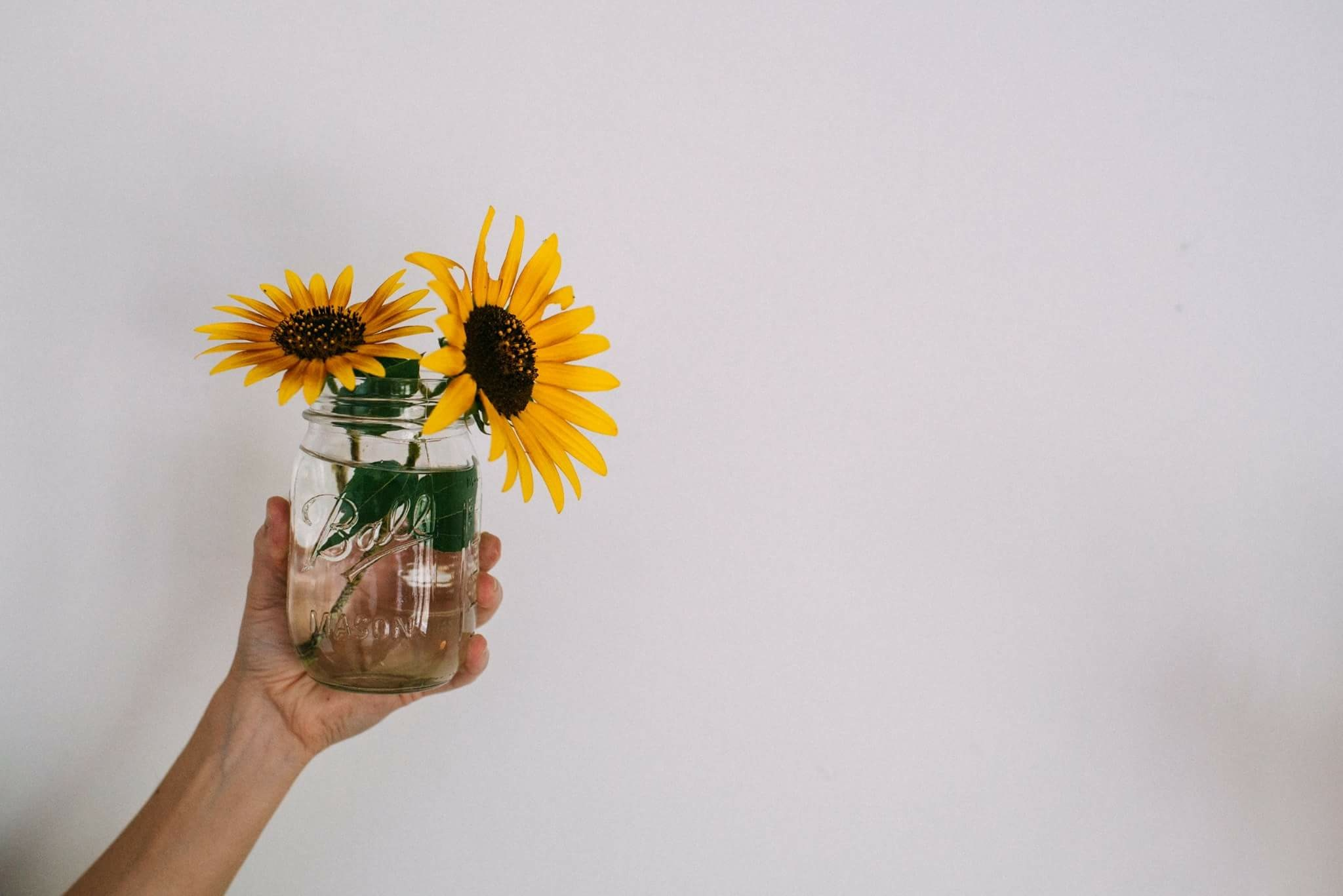Loving Your Imperfect Life