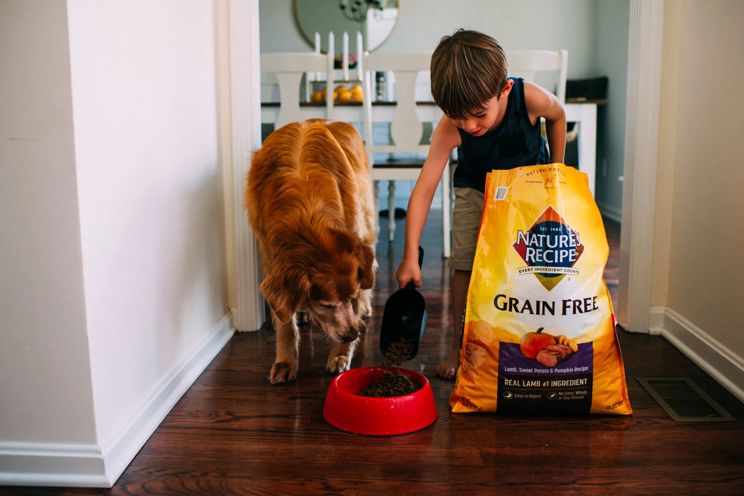 Dog Moms + Dog Dads: Reasons We Love Nature's Recipe Dog Food