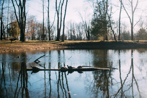 Our Top 5 (Louisville and Surrounding) Trails to Hike