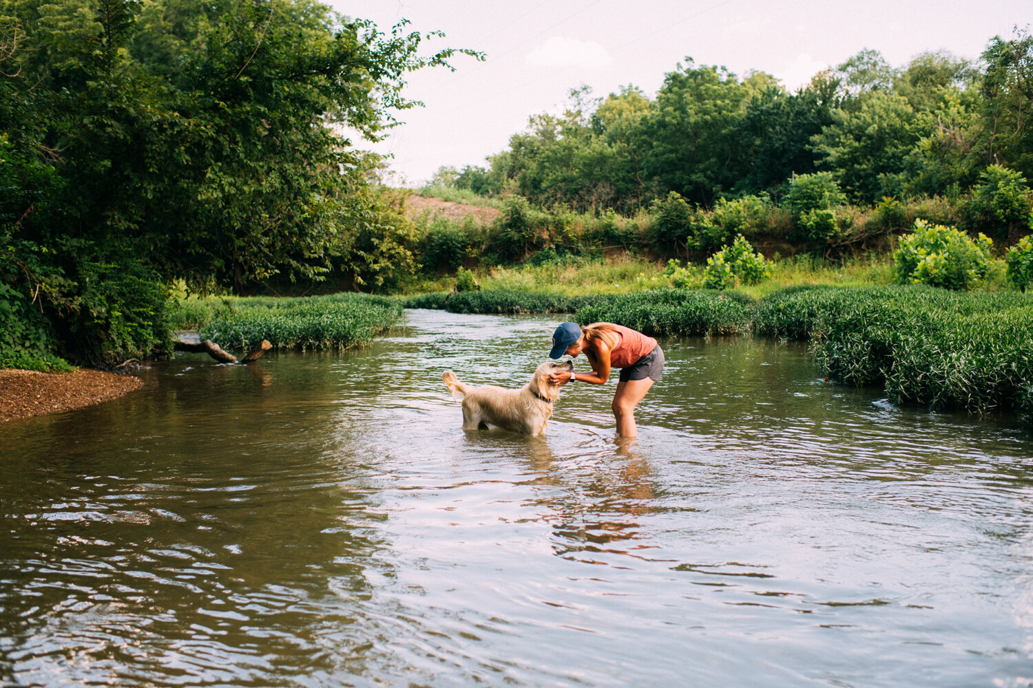 The Summer We Didn't Set Out to Have 