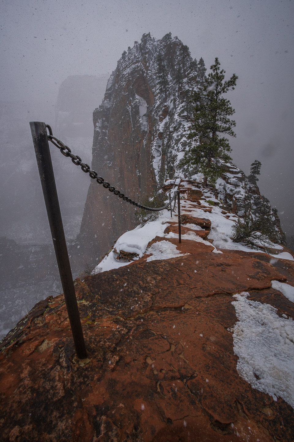 angelslanding-snow-zion-utah-01532.jpg