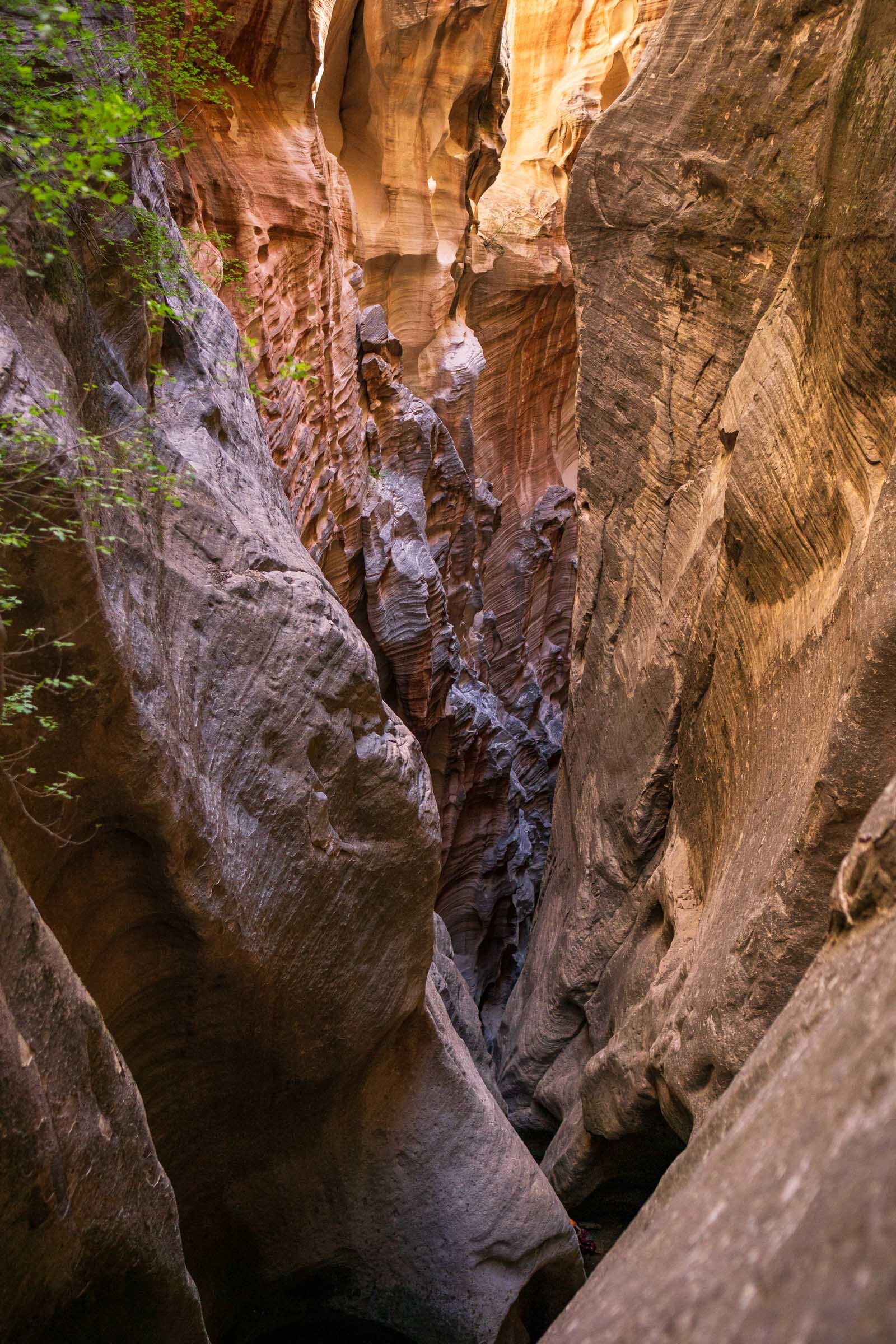Depths-of-a-slot-canyon.jpg