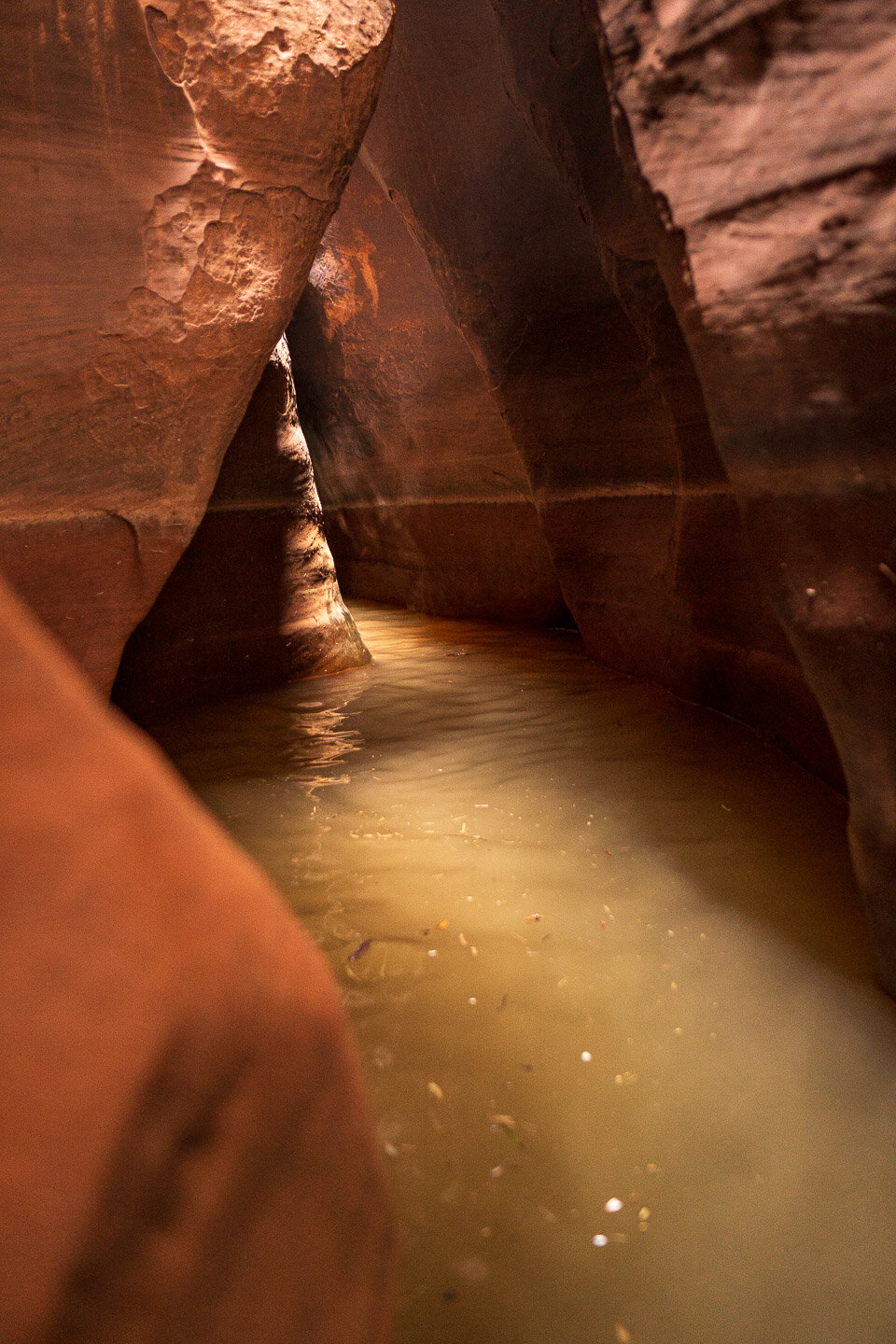 sandstone-slot-canyon-water-utah (1 of 1).jpg