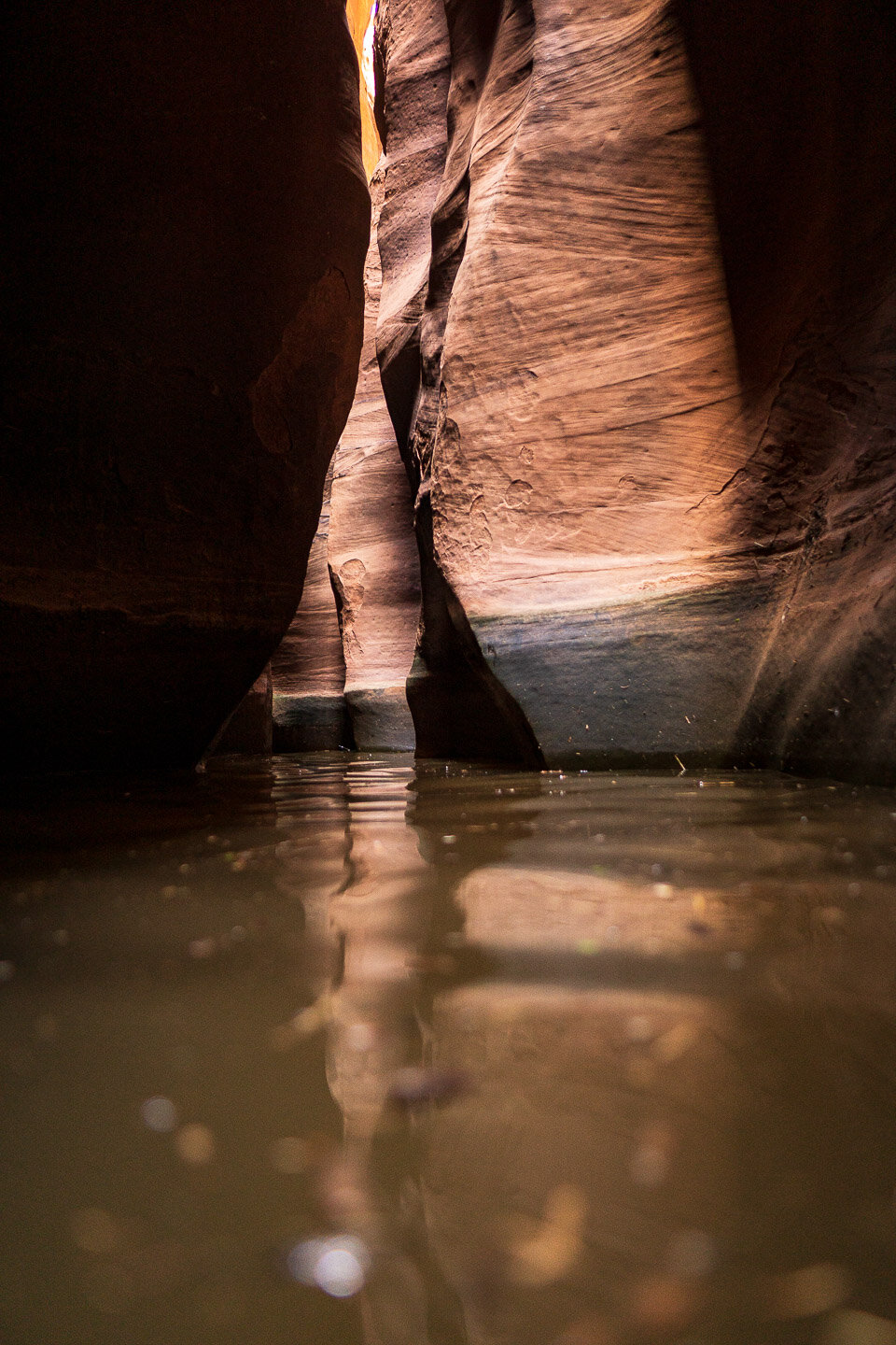 sandstone-slot-canyon-water-utah-00329.jpg