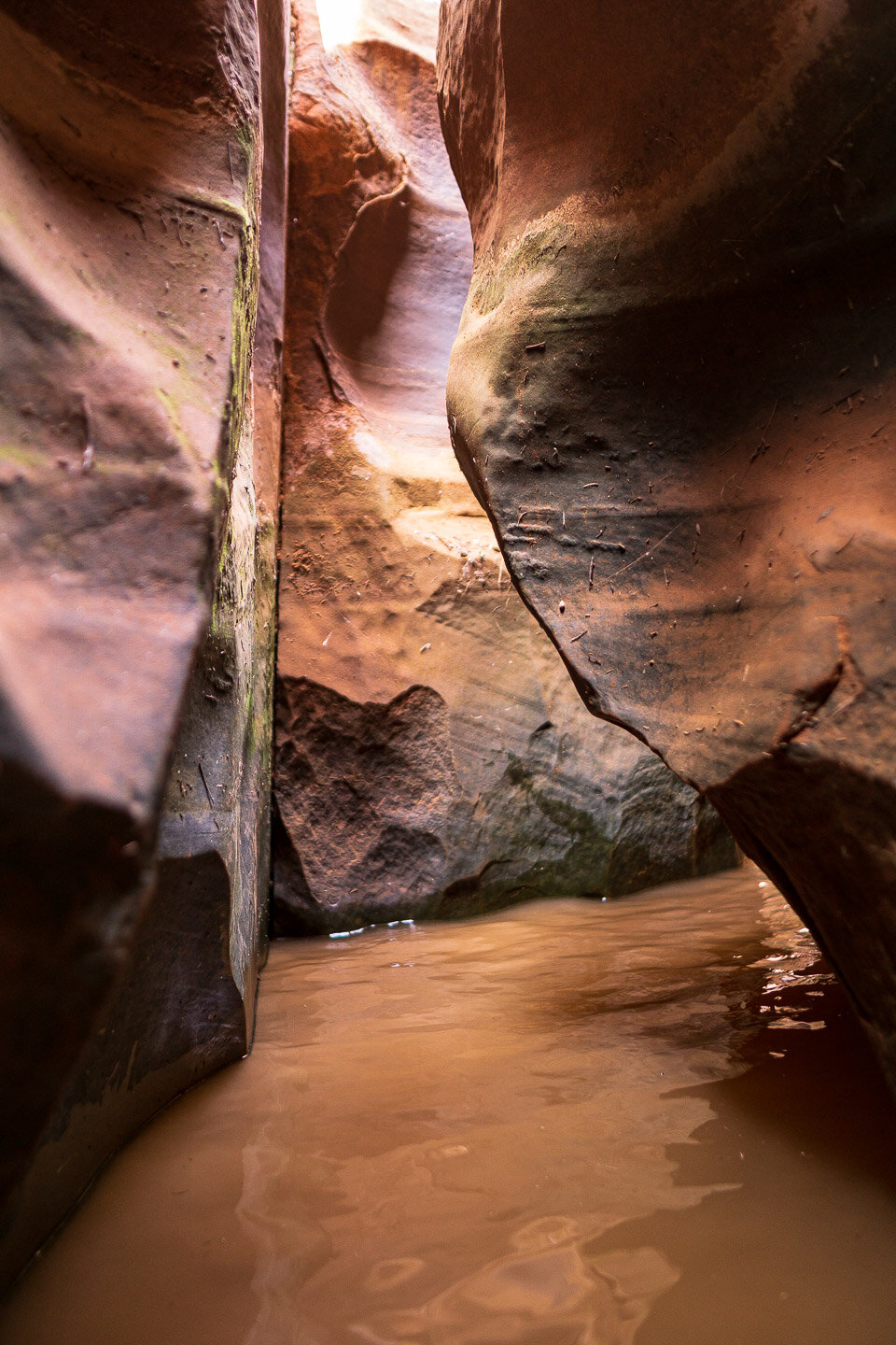 sandstone-slot-canyon-water-utah-00438.jpg