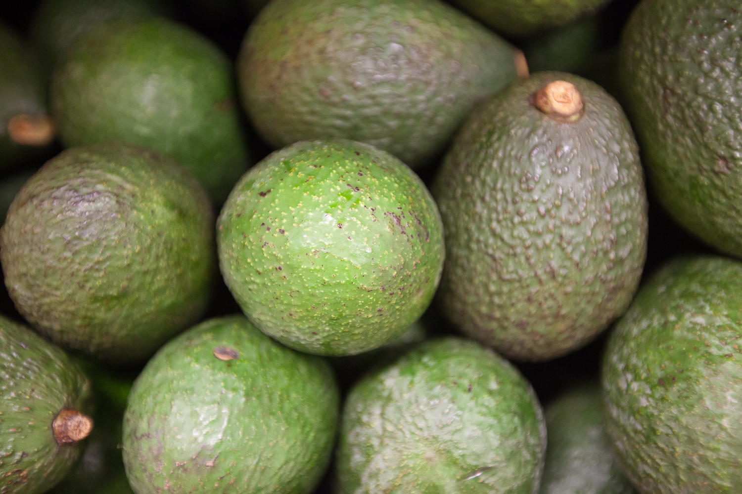 Organic Avacados From Mana Foods Produce Department