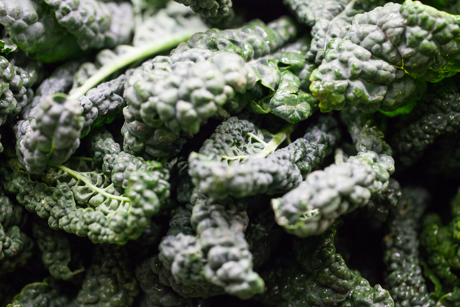 Organic Curly Kale From Mana Foods Produce Department