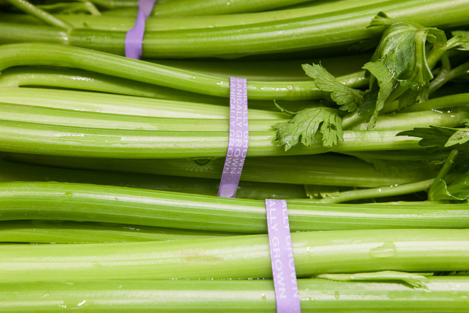 Organic Celery from Mana Foods Produce Department