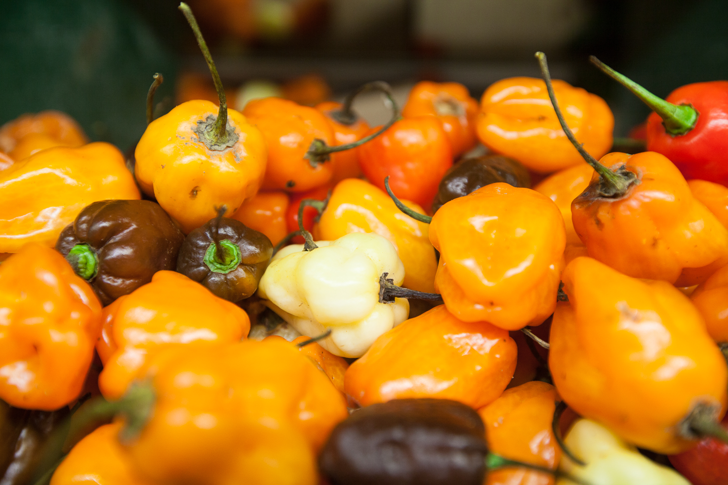 peppers from Mana Foods Produce Department