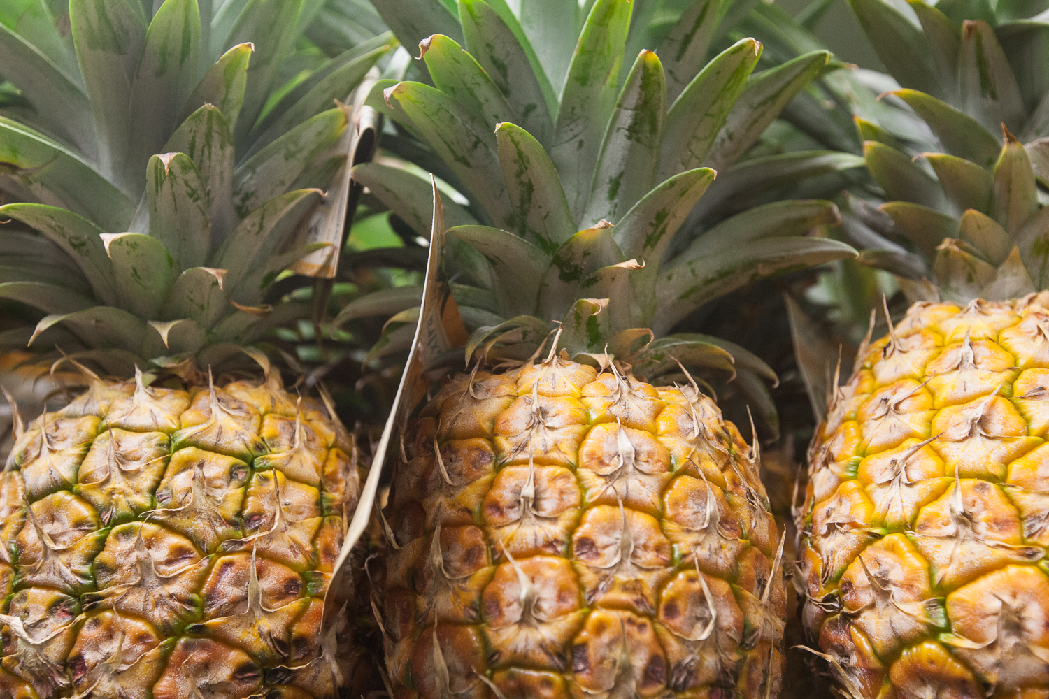 Mana Foods Display of Locally Grown Pineapple