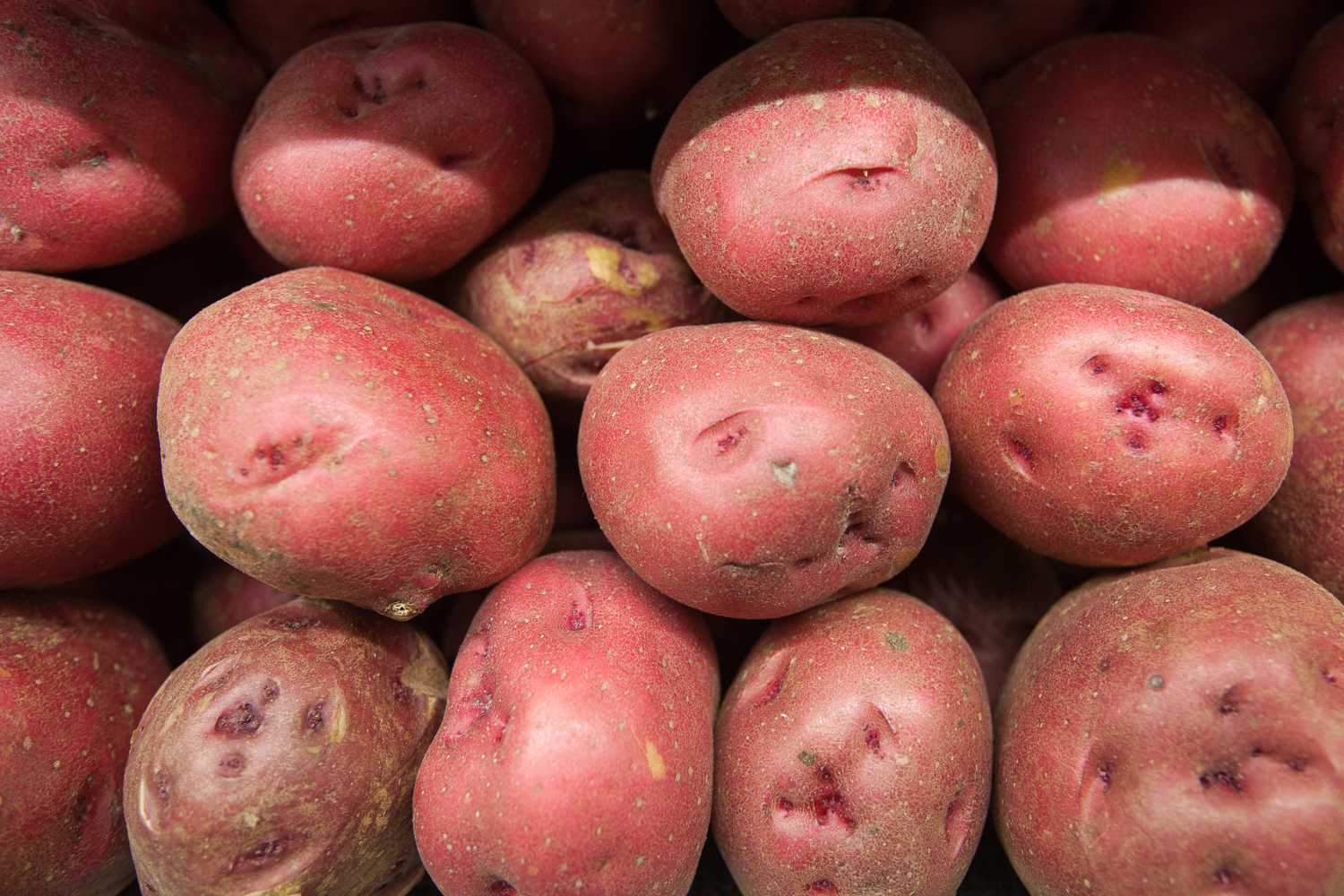 organic red potatoes from Mana Foods Produce Department