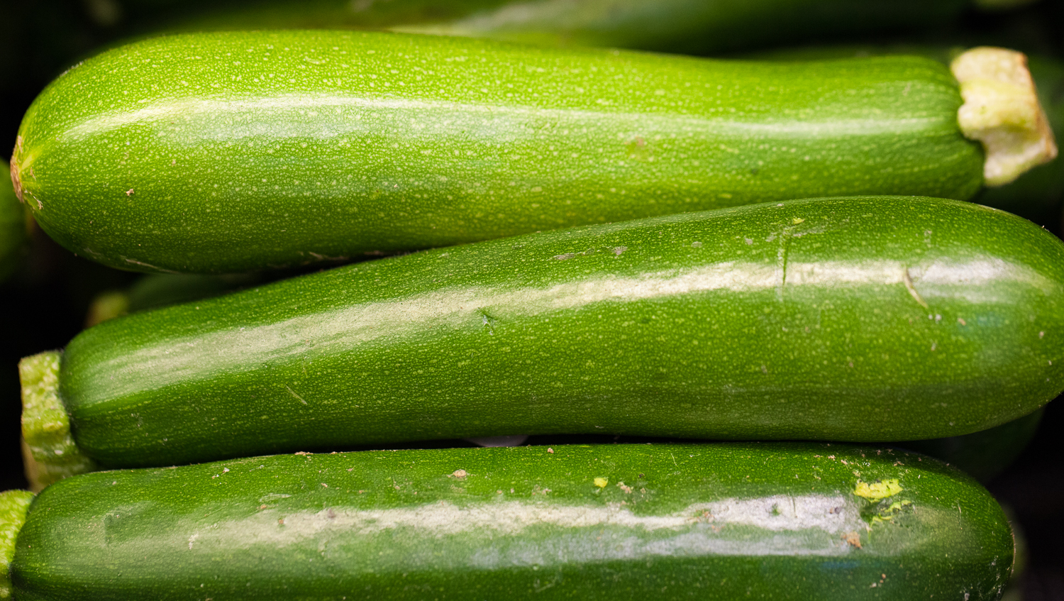 Organic zucchini From Mana Foods Produce Department