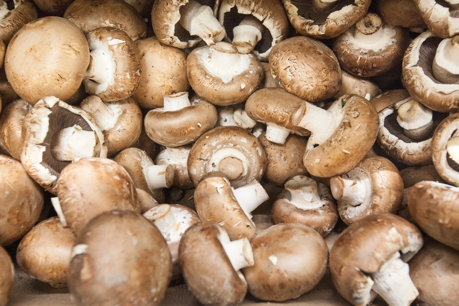 mushrooms From Mana Foods Produce Department