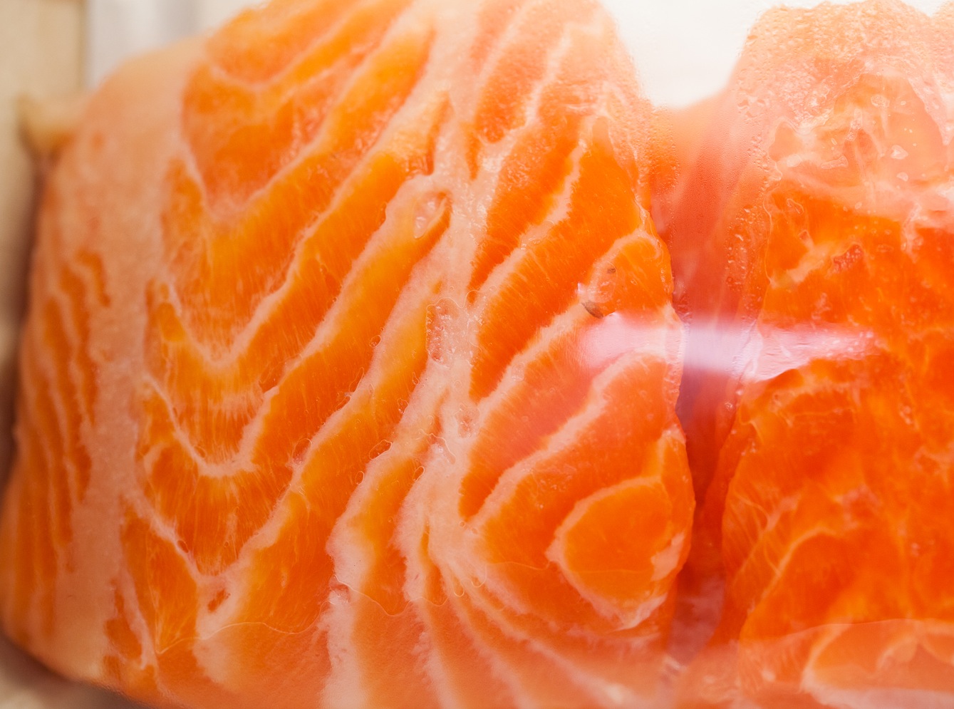 fresh salmon fish mana foods maui