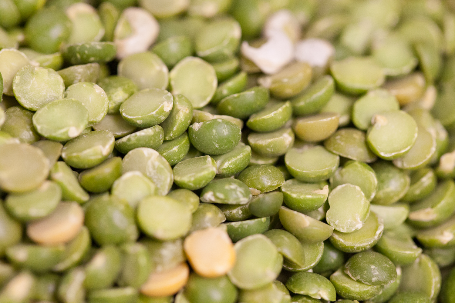 Mana Foods Bulk Department Organic Green Lentils