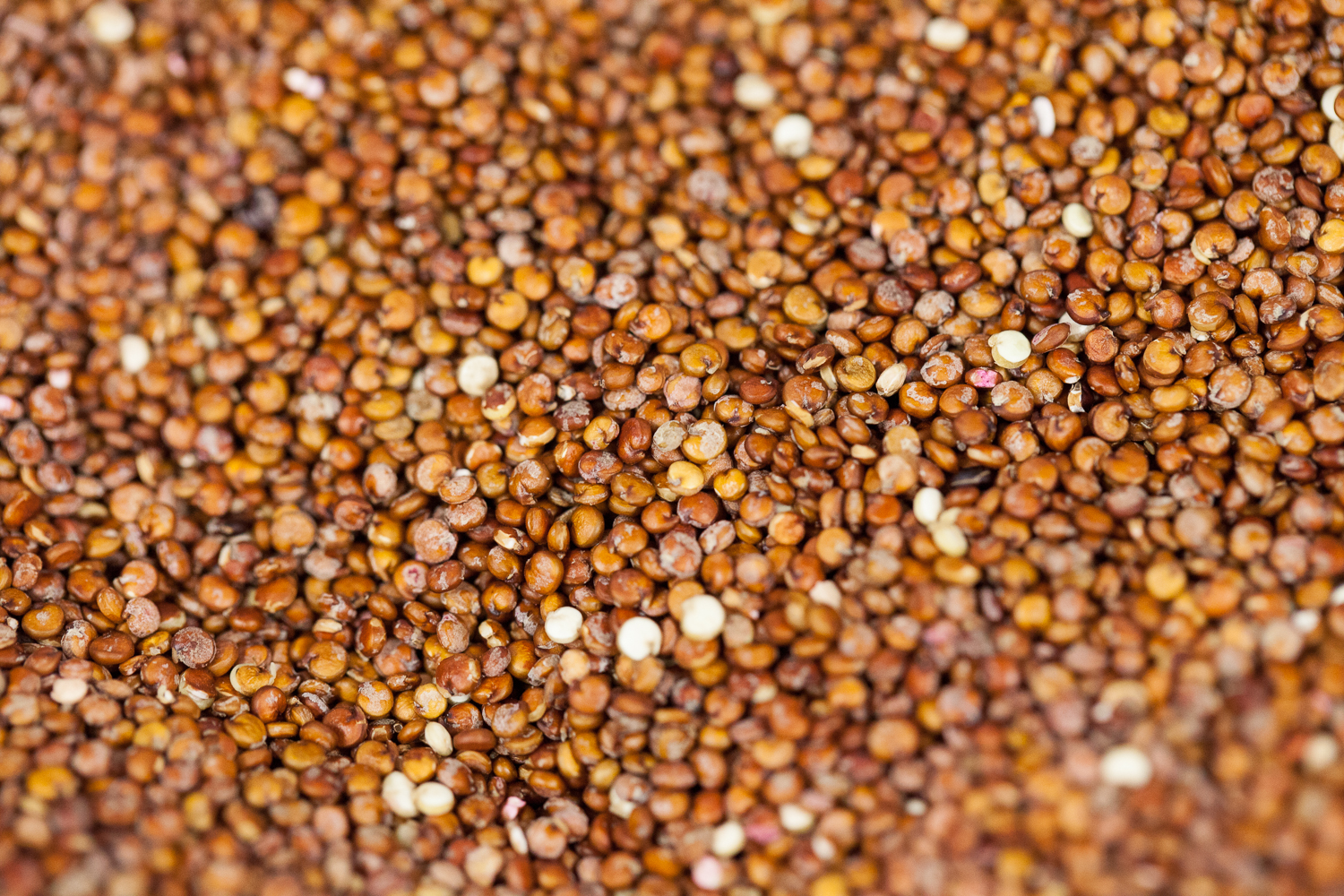 Mana Foods Bulk Department Organic Beans