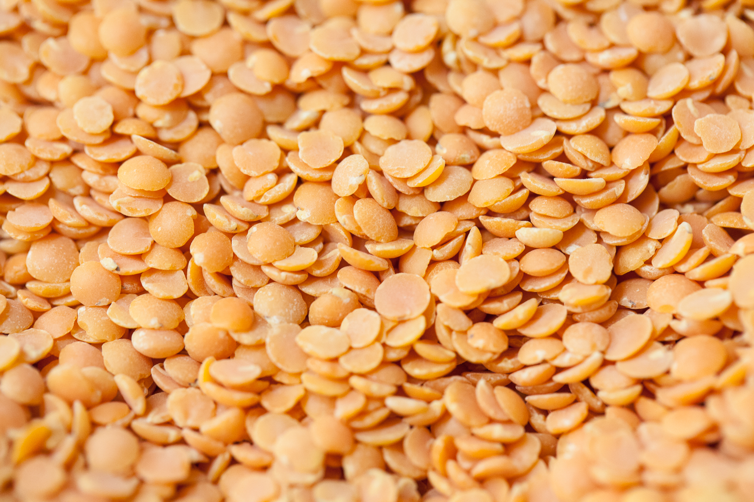 mana foods bulk department organic lentils