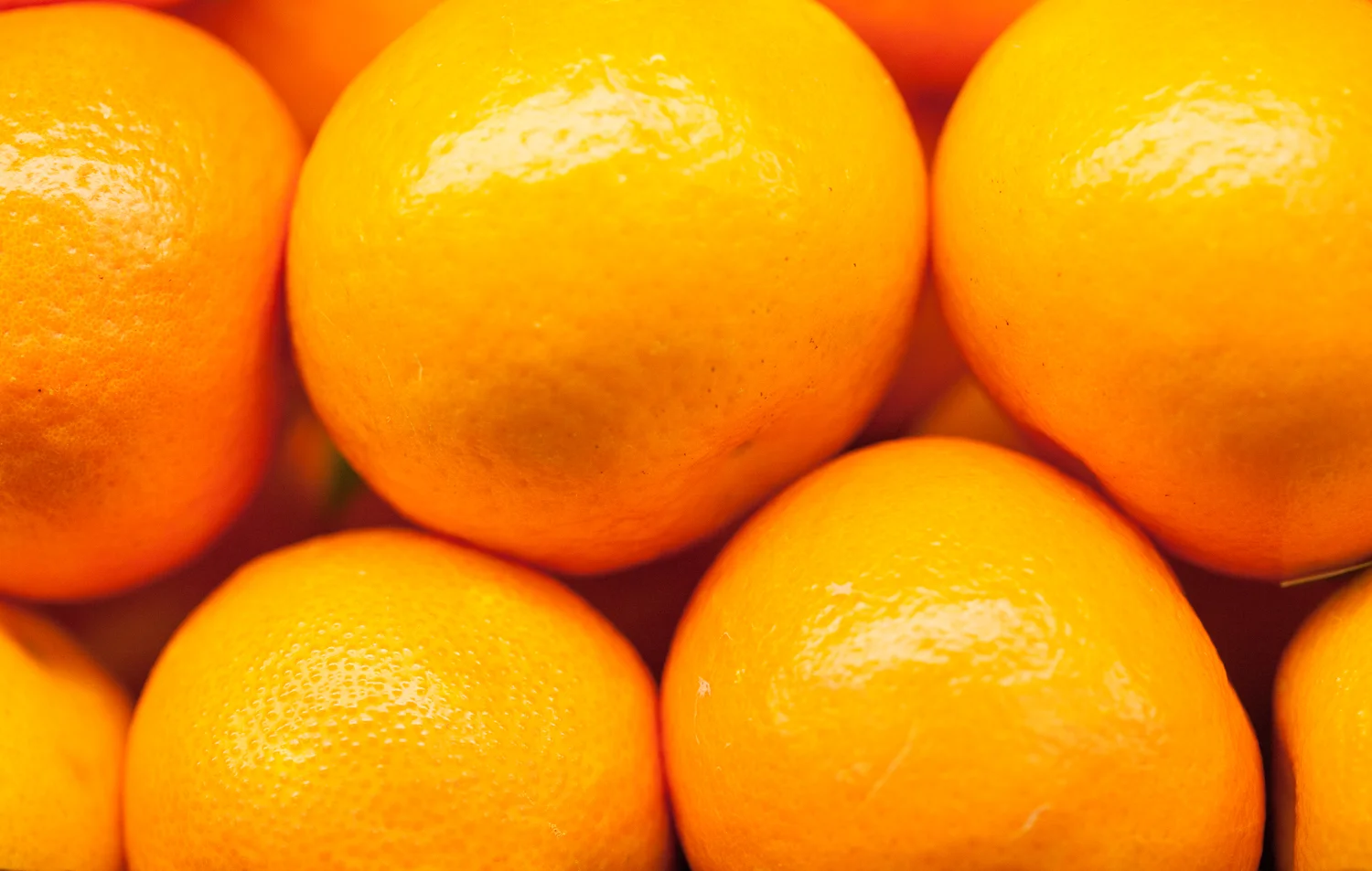No Waste and Proud of It! A Glimpse Behind the Scenes at Mana Foods Produce Department