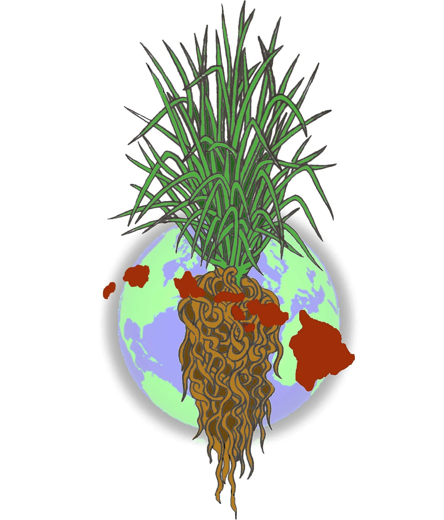 Vetiver Farms Hawaii | Sustainable Engineering Solutions