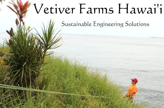 vetiver farms_hawaii_sustainable_engineering_solutions