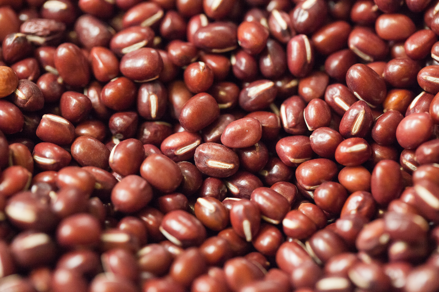 mana-foods-bulk-department-organic-kidney-beans