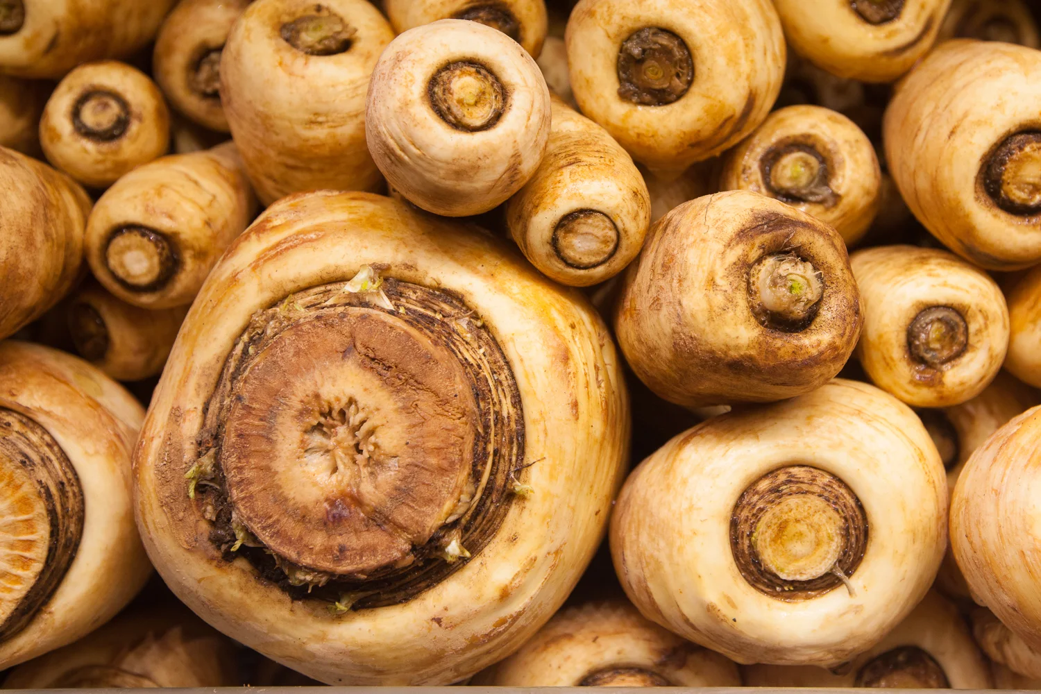 organic-root-vegitables-produce-department-mana-foods-maui copy.jpg