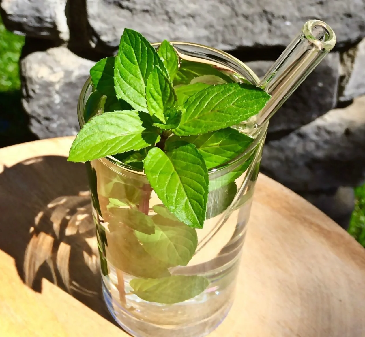 Straws AND The Environment