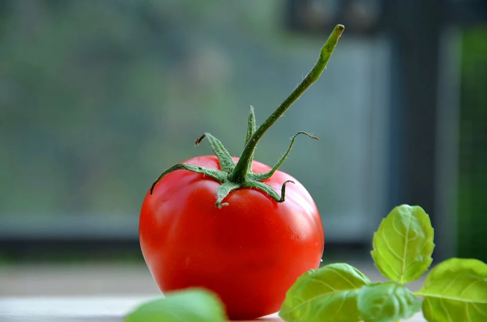 tomatoe-932737_960_720.jpg