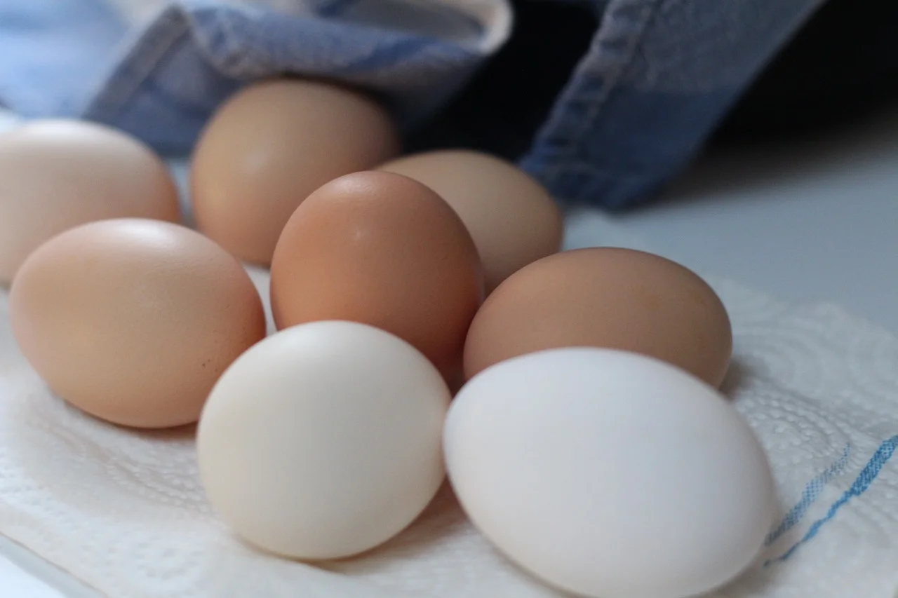 Food Brown Eggs Chicken Eggs Fresh Eggs Eggs