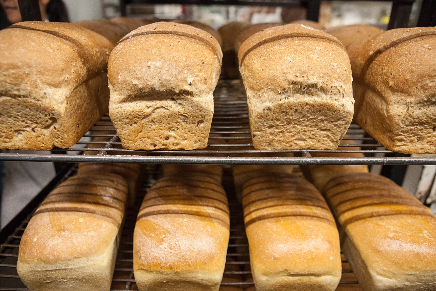 fresh-baked-bread-mana-foods-bakery.jpg