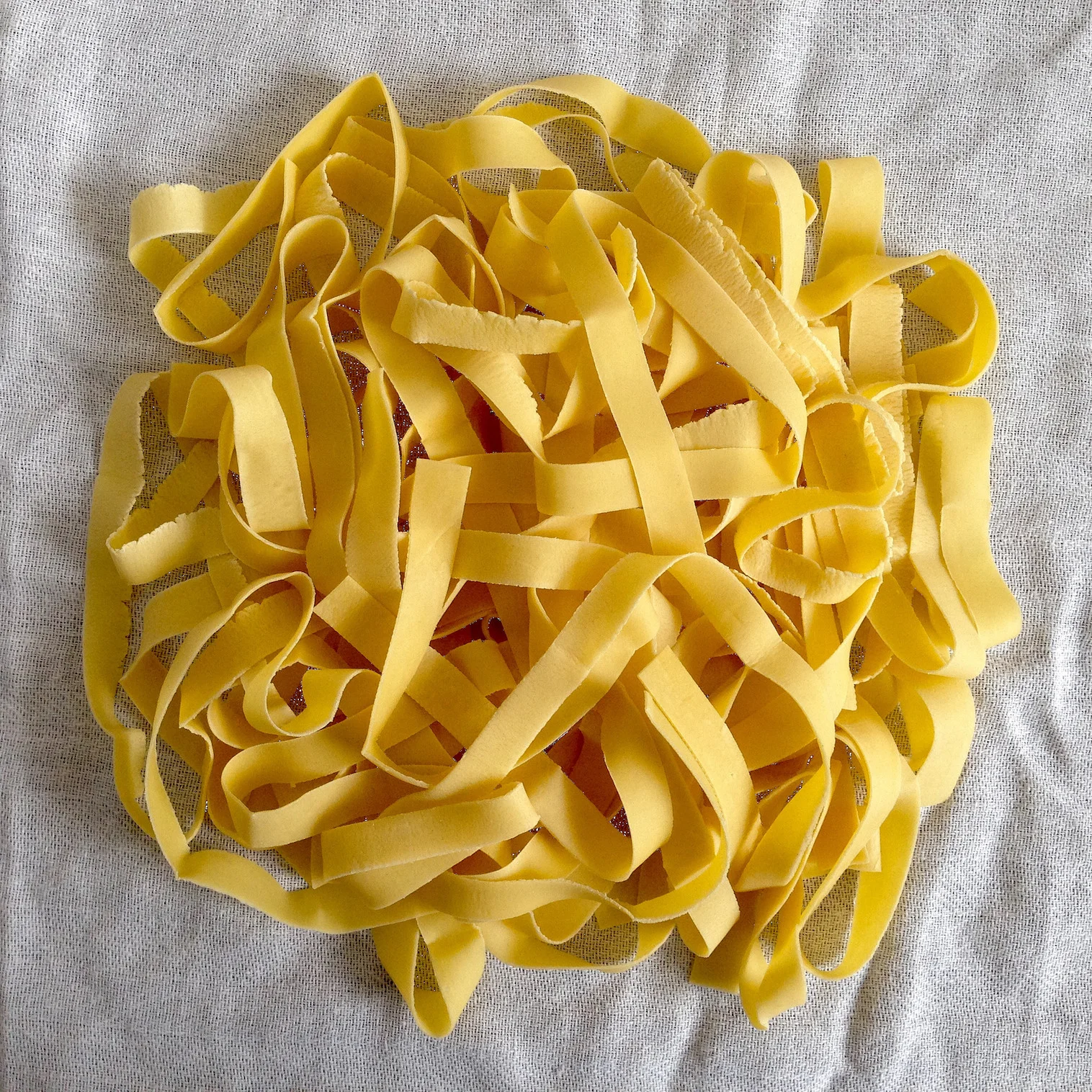 pappardelle-pasta.jpg