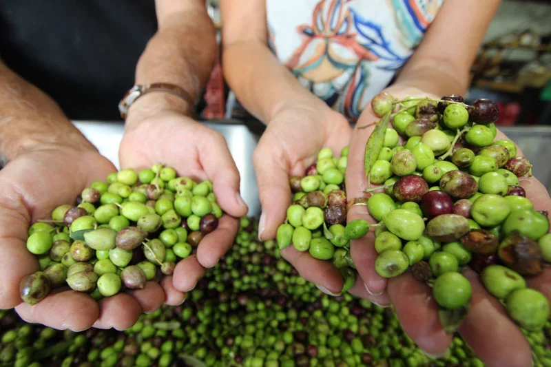 This local company is good for you and the environment... Here's why...