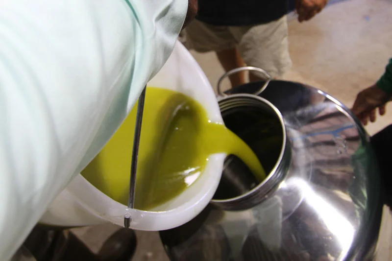 olive_oil_pouring_3-up.jpg