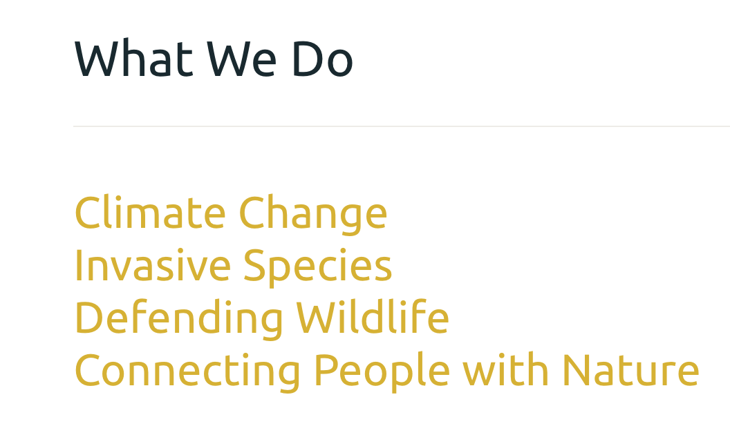 Screen Shot 2019-01-16 at 12.13.15 PM.png