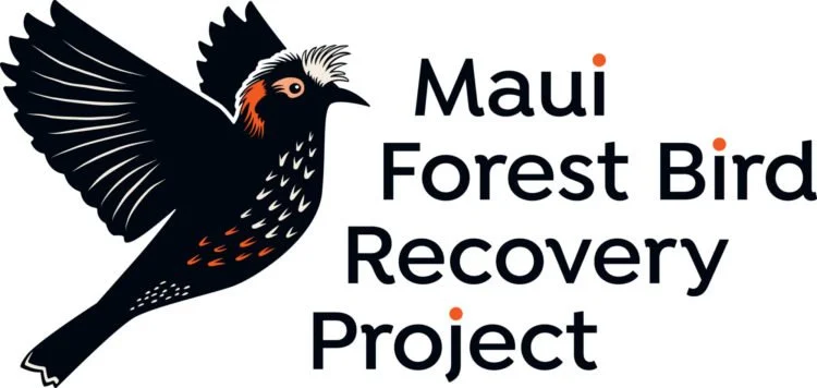 January's bag credit earnings to be donated to Maui Forest Bird Recovery Project...
