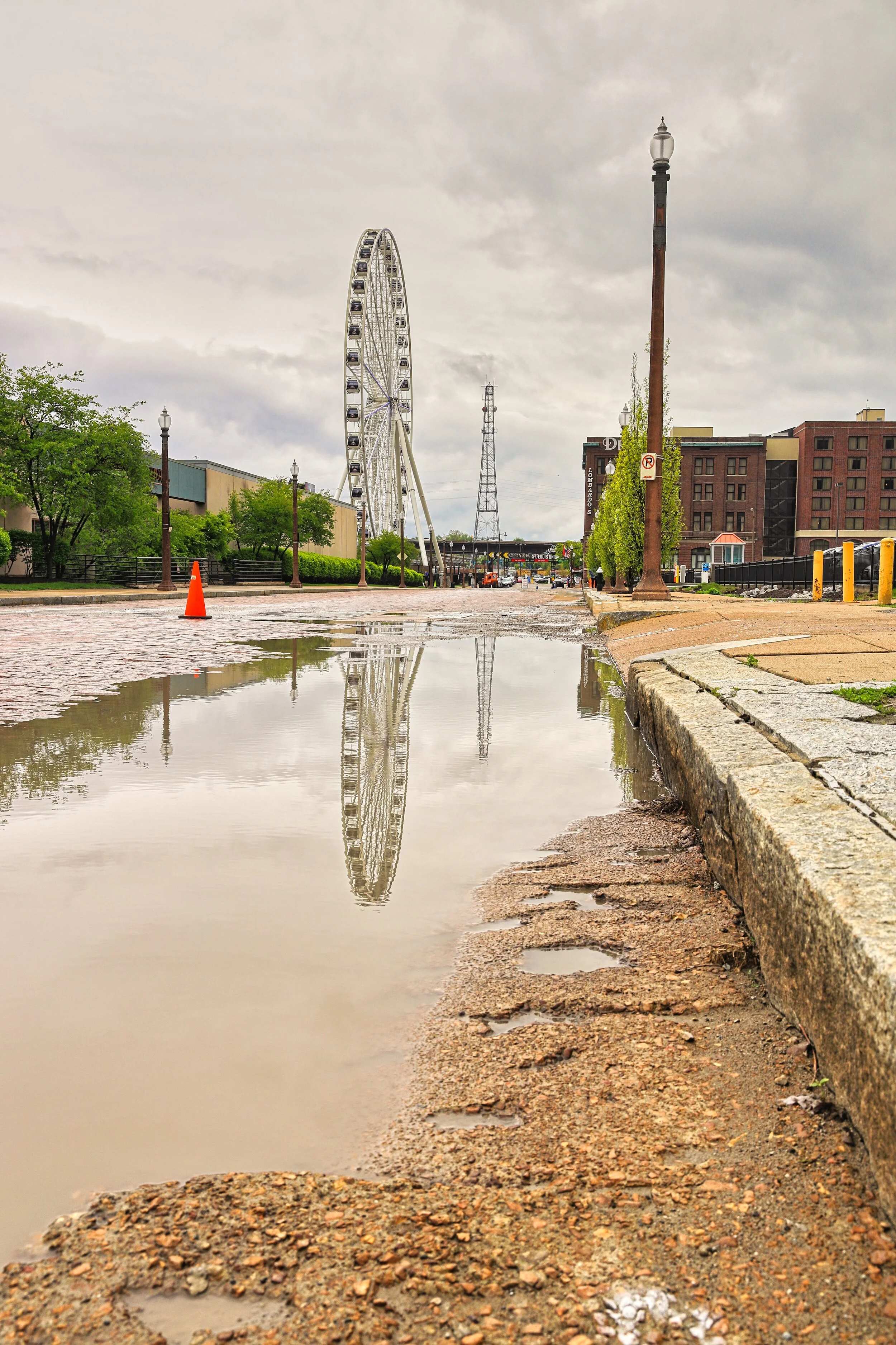 1H9A7074 Square:Sp.jpeg