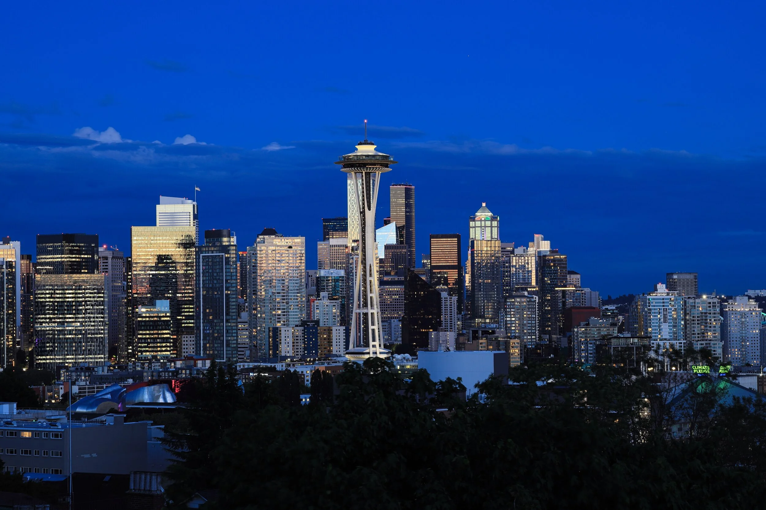 1H9A8261 SquareSpace.jpeg