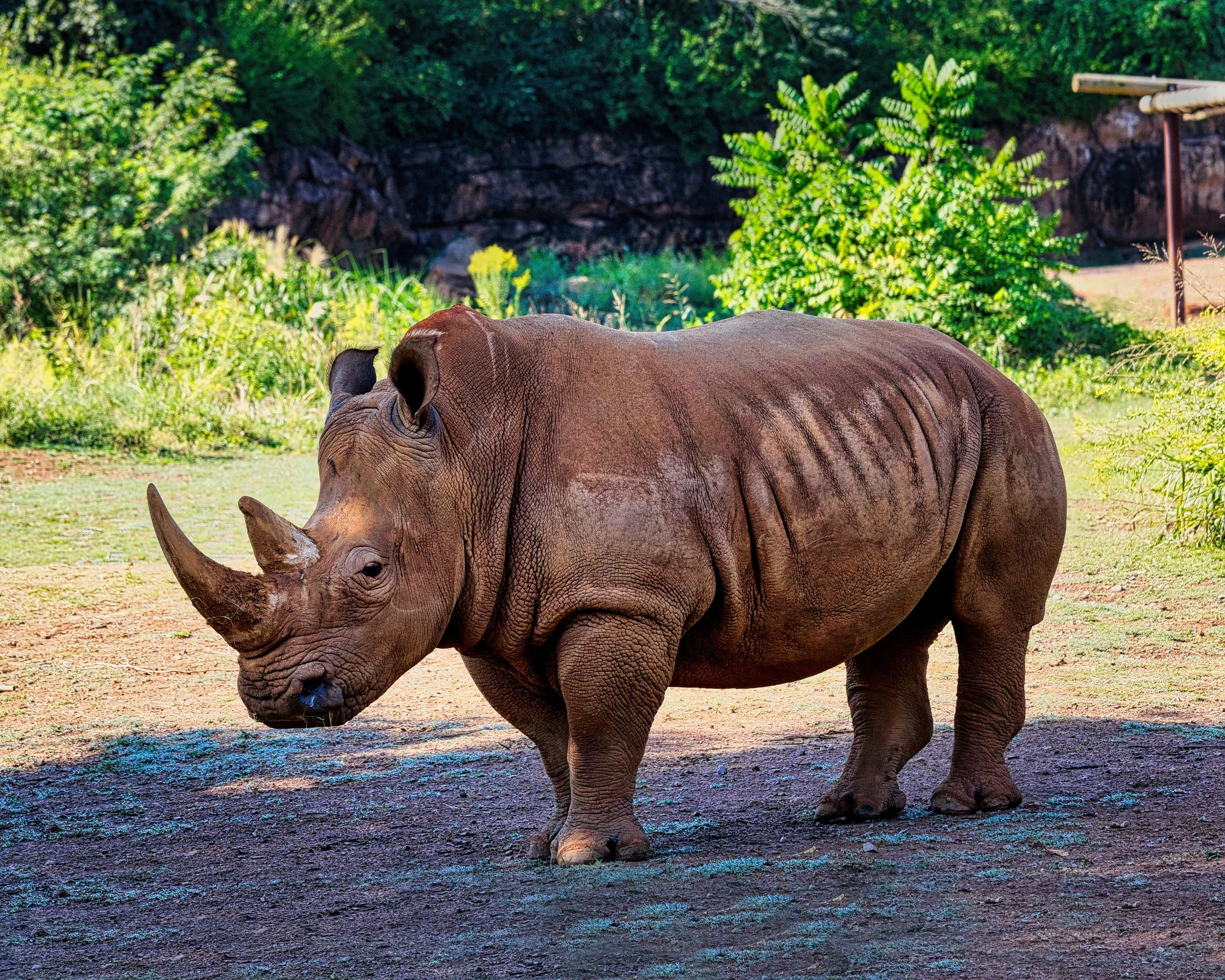 E01A3173_GEN 2:SqS.jpeg