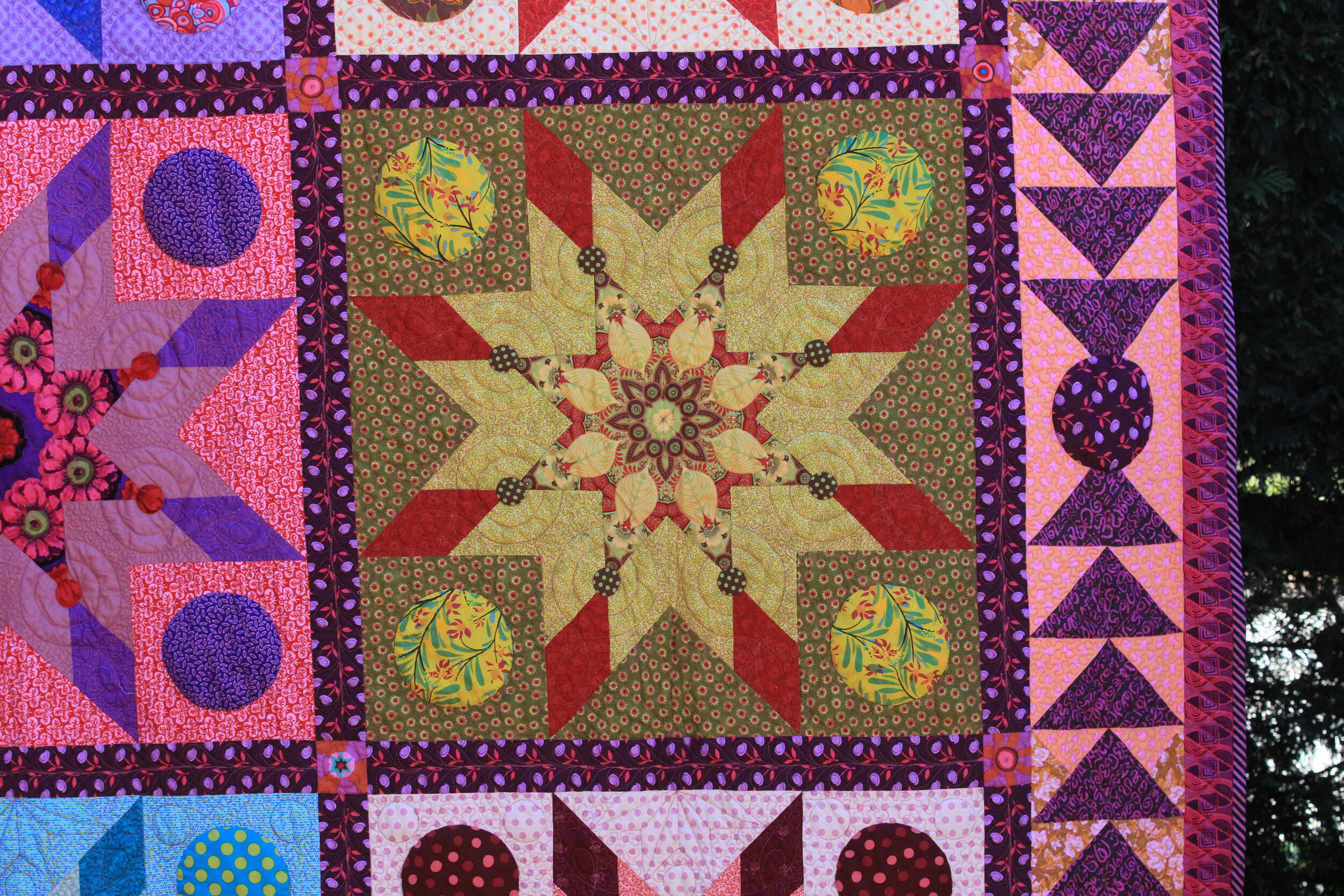 05aa2011-08-25 Quilts Harlequin Star_25z - Copy.jpg