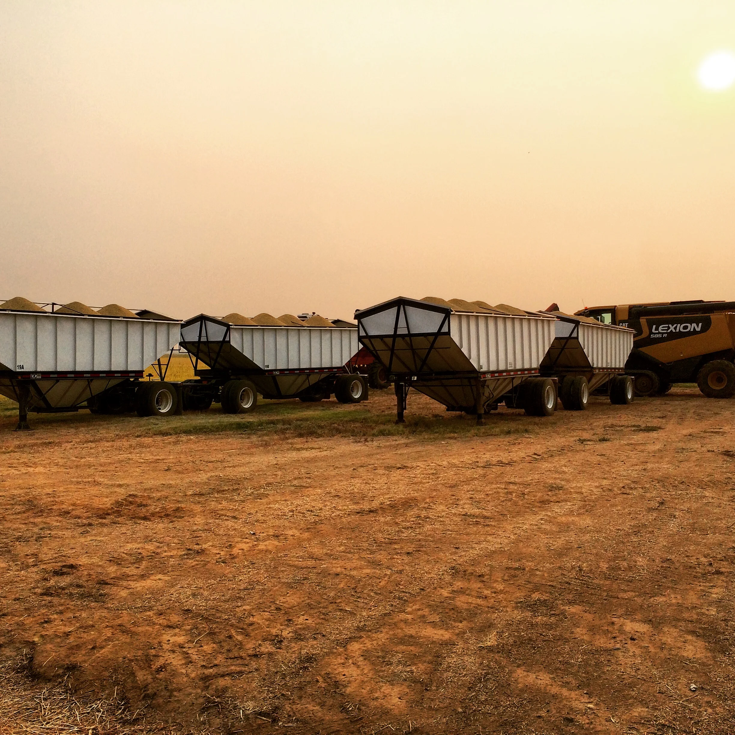 2 Truckloads of Rice Ready for the Dryer