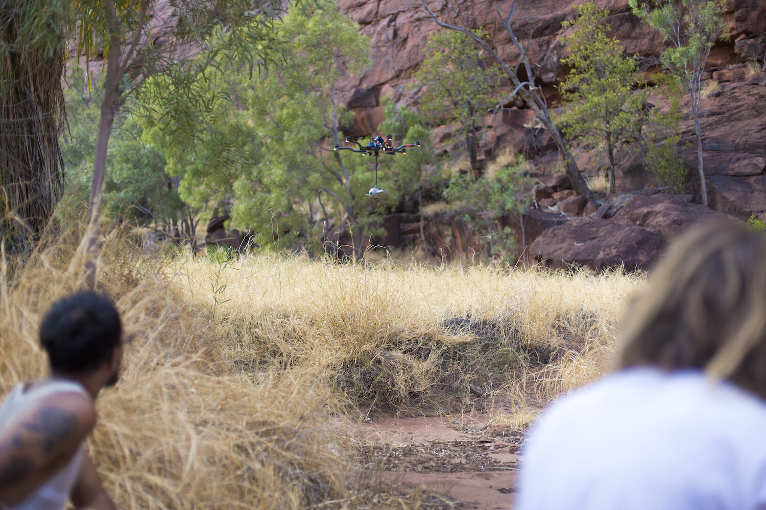 Drone Palm Valley010.JPG