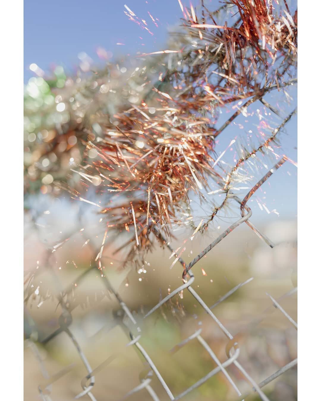 Spring coming
. 
. 
. 
. 
. 
. 
#canonaustraliapro #canon5dmarkiv