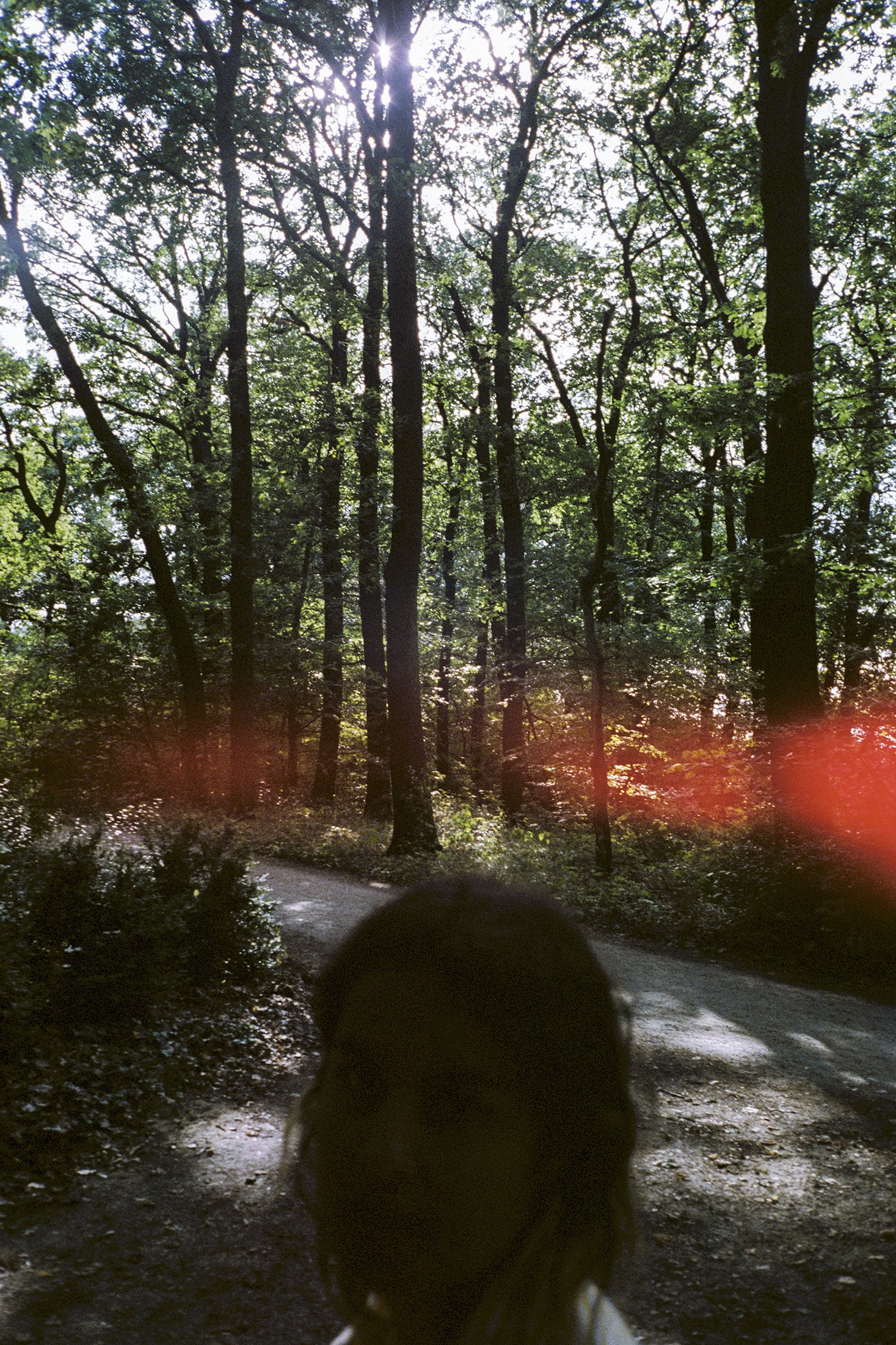 peacock park copy.JPG