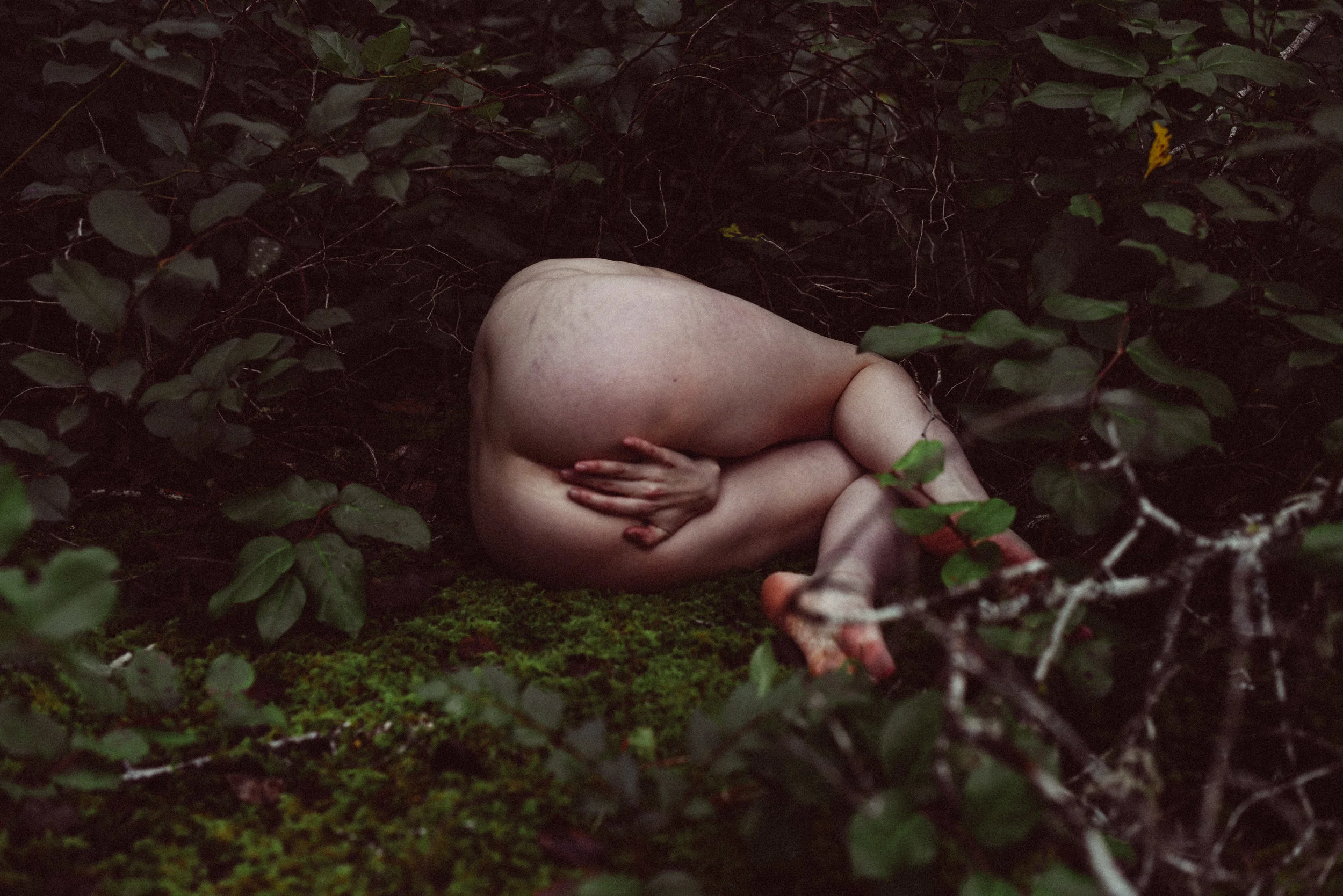 image from "Bathing" series. Available for purchase - proceeds go to Victoria Women's Transition House. Click HERE to order.
