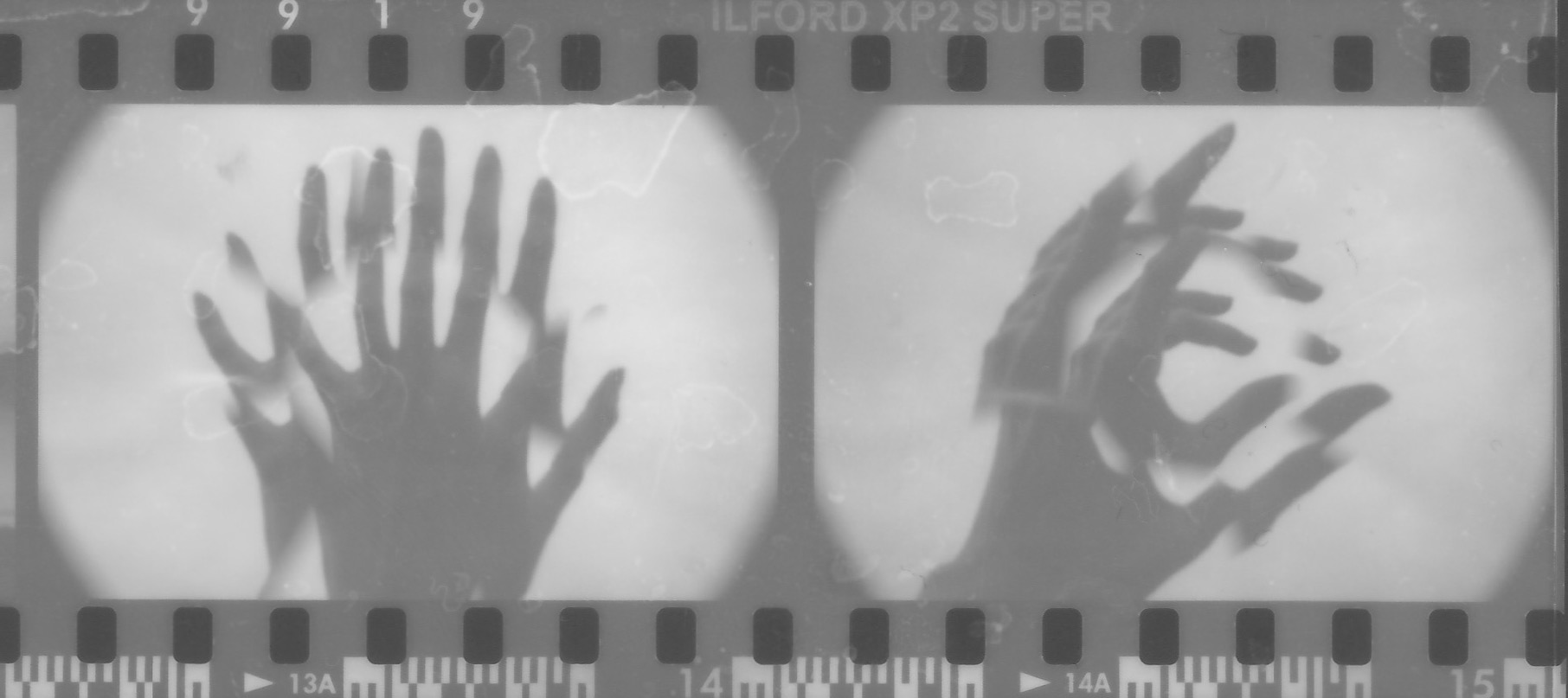 Scan 2.jpeg