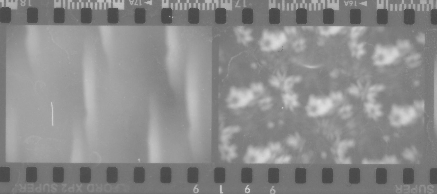 Scan.jpeg