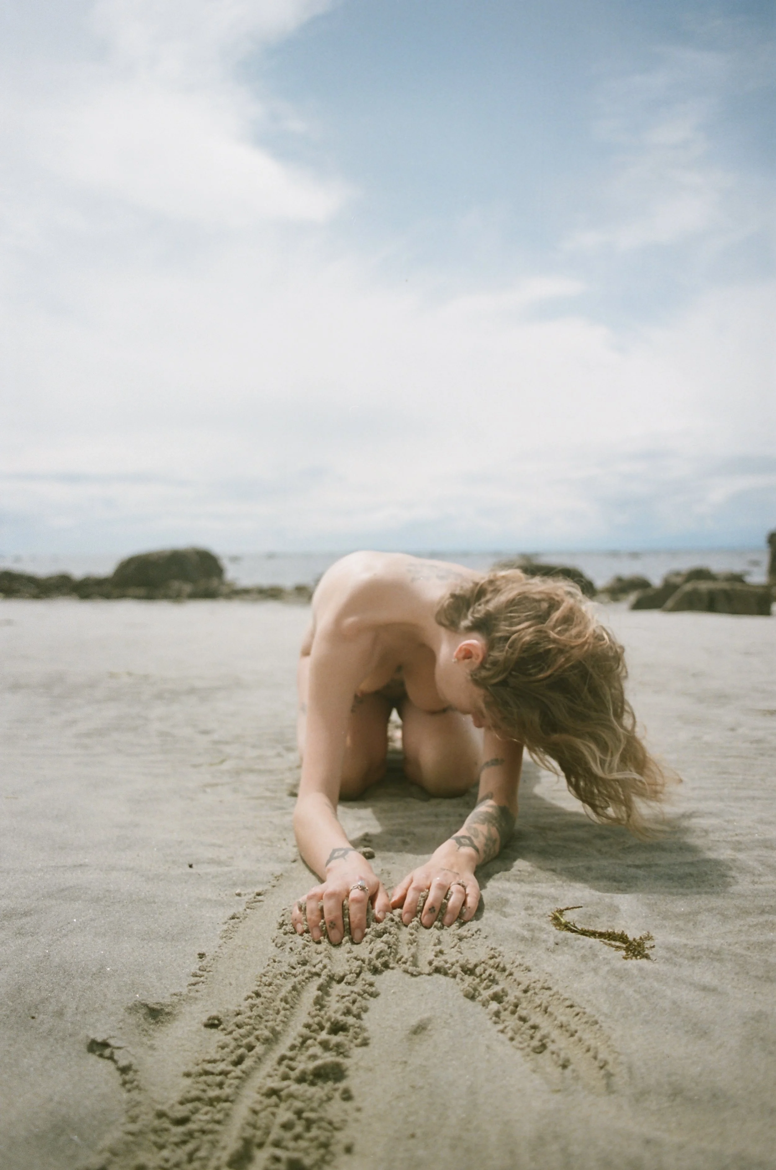 traversing, four footed