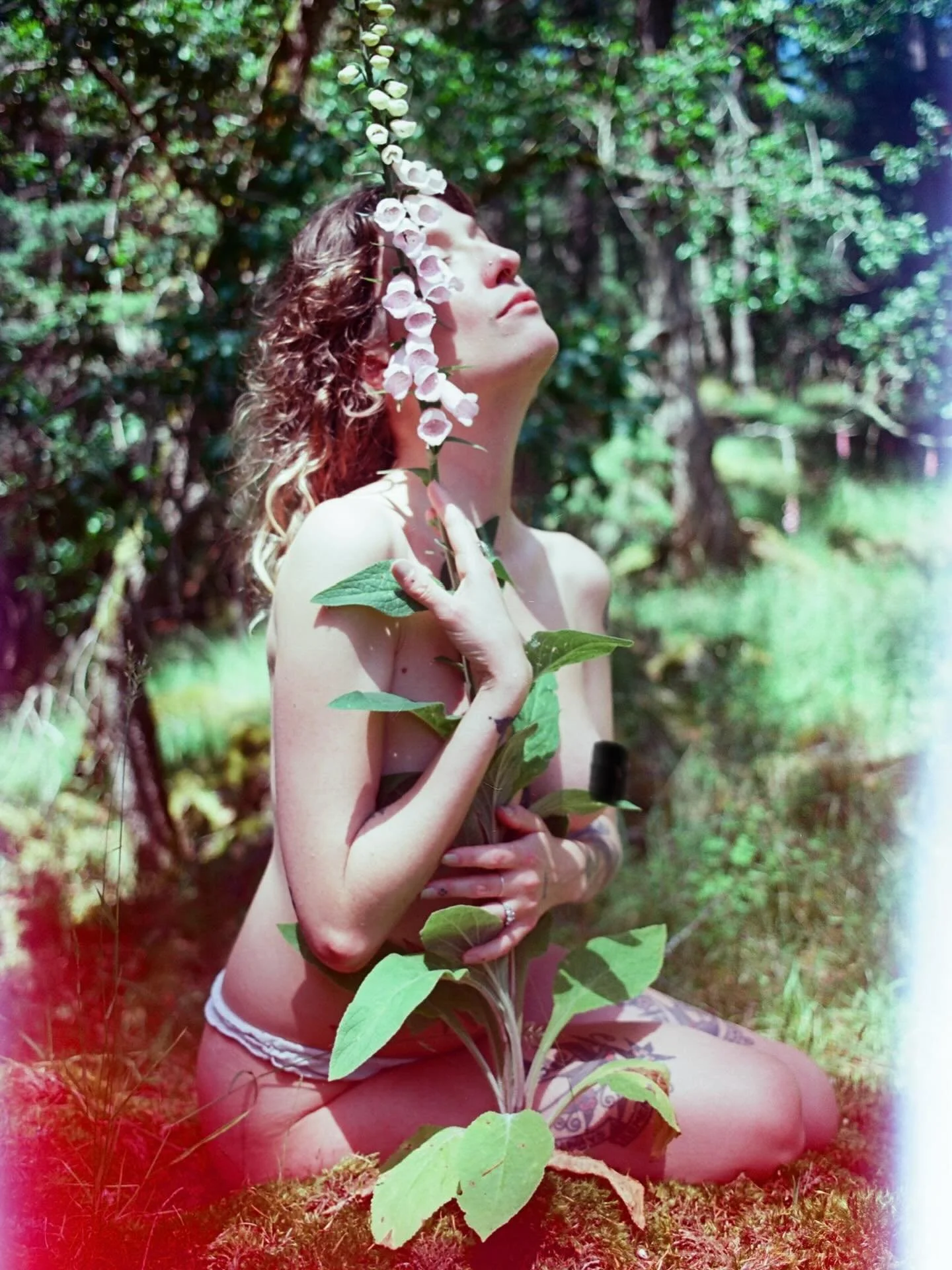 earthbody 
❈
sometimes I feel 
more like a place 
than a person 

I look down at my legs 
and see mountains 
in the mirror
moon gazes back 
with prairie eyes 
my skin, the texture 
of foxgloves leaves 
I think I too am meant 
to die back in winter
ta