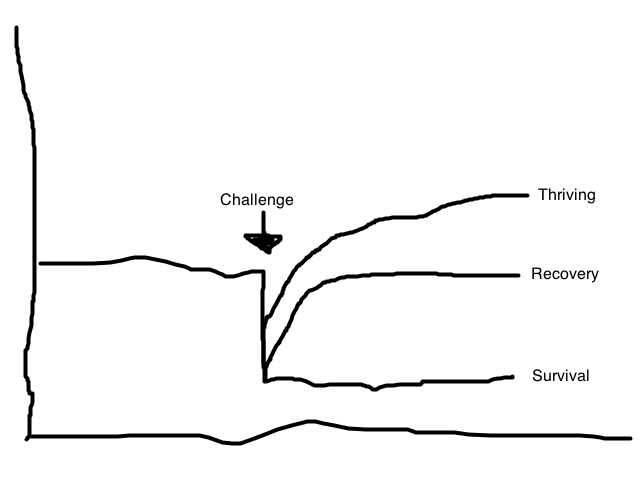 *Image re-illustrated from The How Of Happiness by Sonja Lyubomirsky 